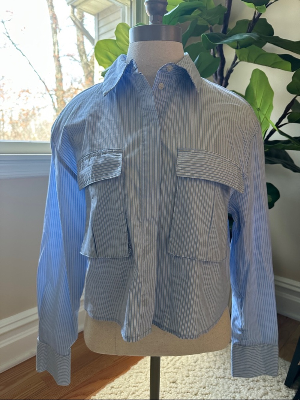 Zara Blue and White Pinstripe Button-Down Shirt